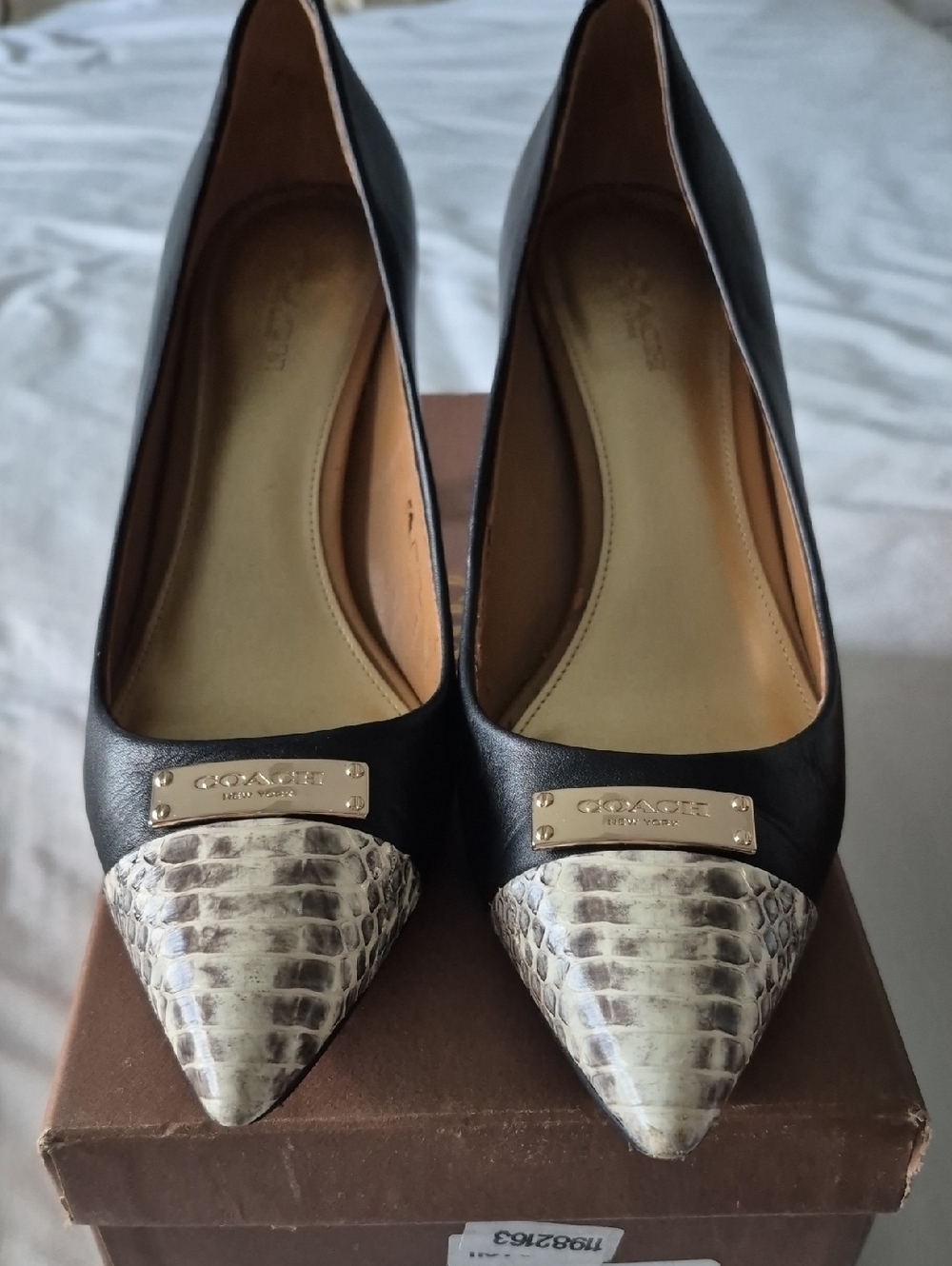 Coach Black Leather Pointed Toe Pumps with Snakeskin Tip and Gold Plaque